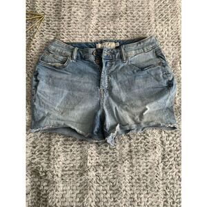 Torrid Button Fly Denim Shorts Size 10